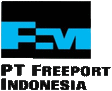 pt freeport indonesia